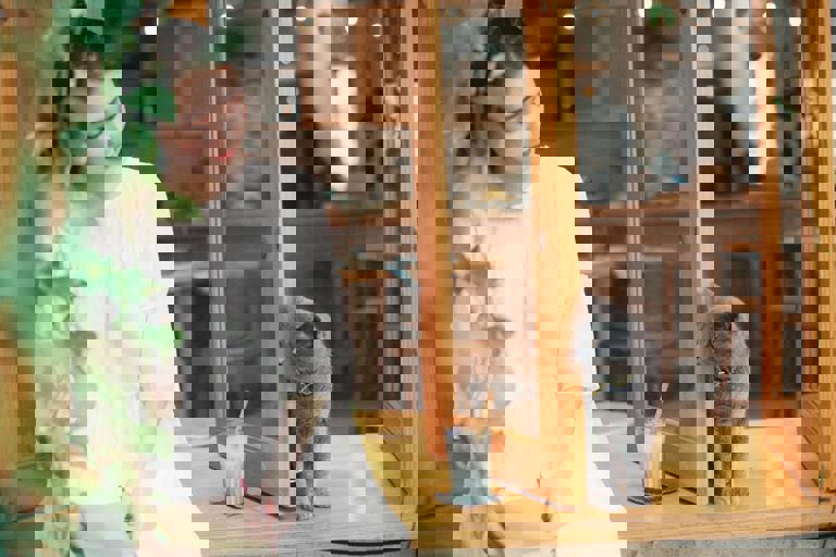 Pet Cafés Multiply as Londoners Seek Animal Companionship in Urban Life