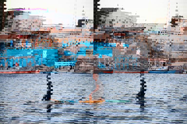 Thames River Swimmers Brave Chilly Waters in Record Numbers This Year